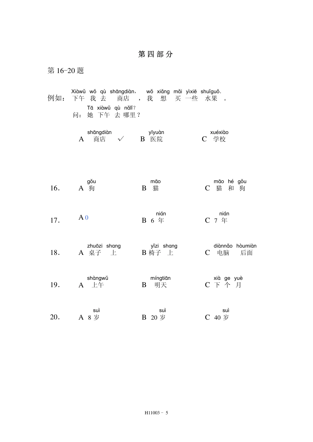 H11003 page 5