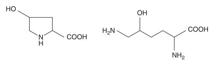 4-Hydroxyproline and 5-hydroxylysine — modified residues found in collagen