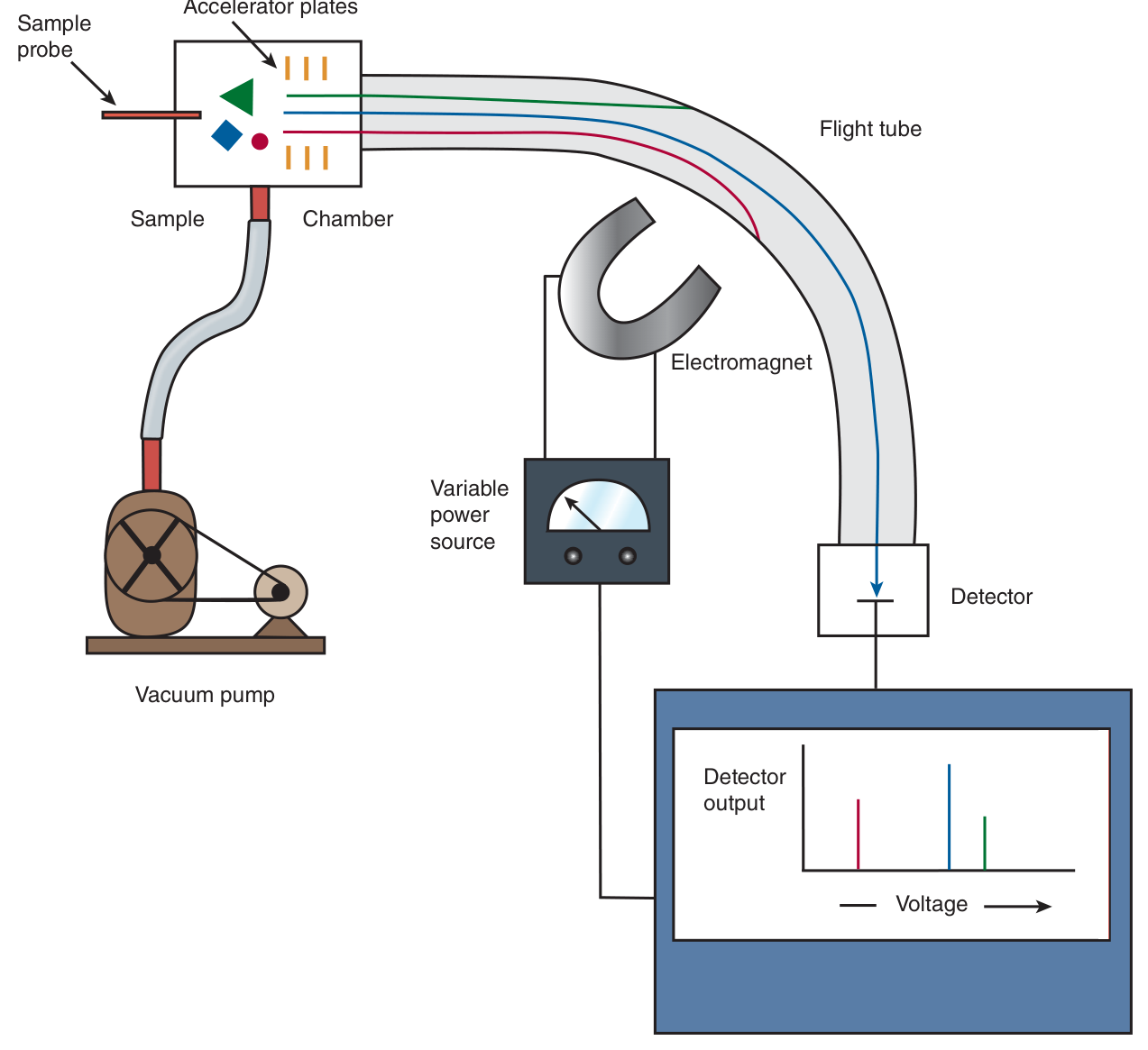 Basic components of a simple mass spectrometer — the greater the mass of the ion, the higher the magnetic field needed to focus it onto the detector