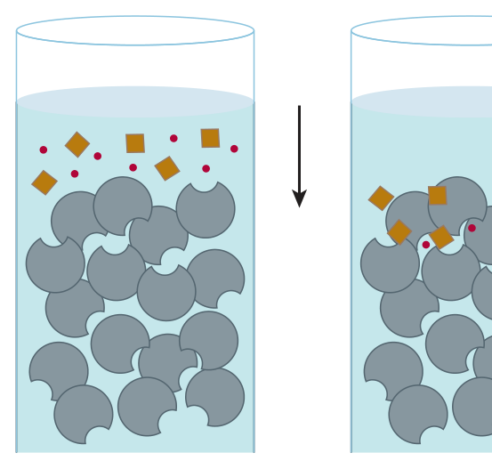 Size-exclusion chromatography: small molecules (red) enter the pores and lag behind, large molecules (brown) are excluded and elute first