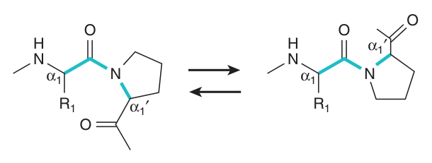 Isomerisation of an X-Pro peptide bond from cis to trans, catalysed by proline-cis,trans-isomerase