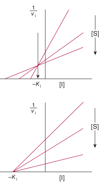 Dixon plots for competitive (top) and non-competitive (bottom) inhibition, used to determine K<sub>i</sub>