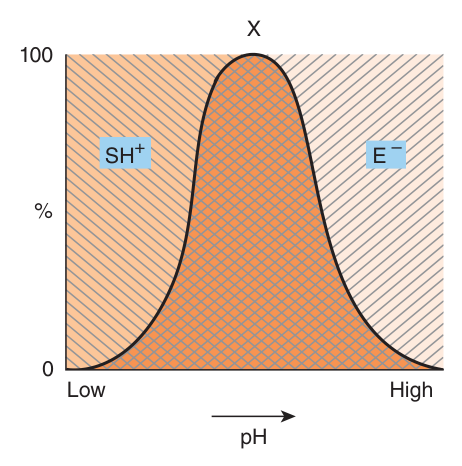 Effect of pH on enzyme activity — only in the cross-hatched region do BOTH the enzyme (EH⁻) and the substrate (SH⁺) bear the appropriate charge