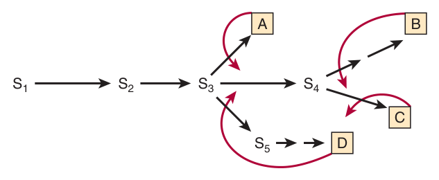 Sites of feedback inhibition in a branched biosynthetic pathway — curved arrows mark end products inhibiting earlier enzymes