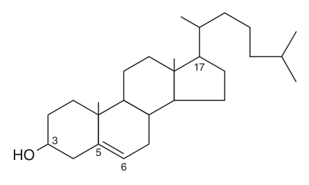 Cholesterol β the four fused rings, the 3-hydroxyl that makes it amphipathic, and the hydrocarbon tail