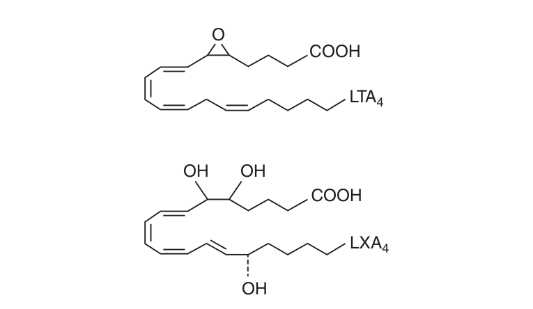 Leukotriene Aβ β no ring, three conjugated double bonds
