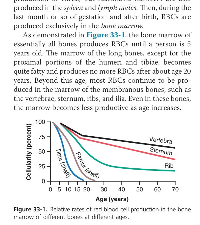 RBC production rate vs bone (Guyton Fig 33-1)