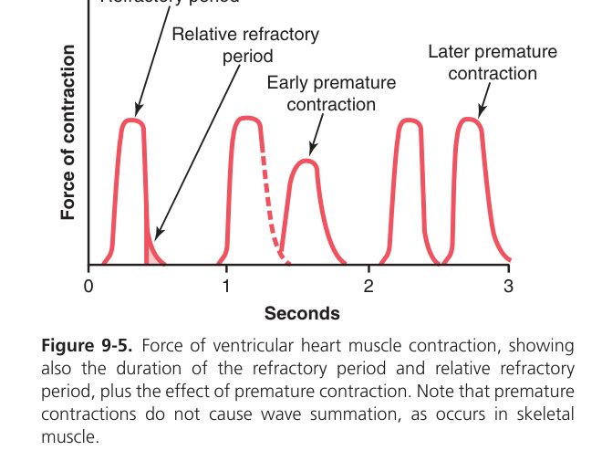 Force of cardiac contraction vs AP (Guyton Fig 9-5)