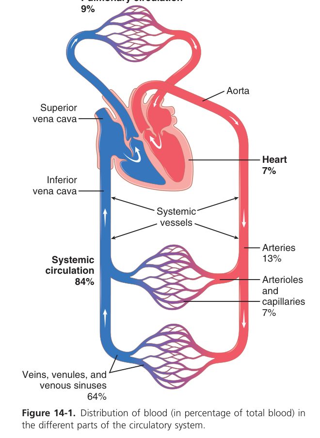 Blood volume distribution (Guyton Fig 14-1)