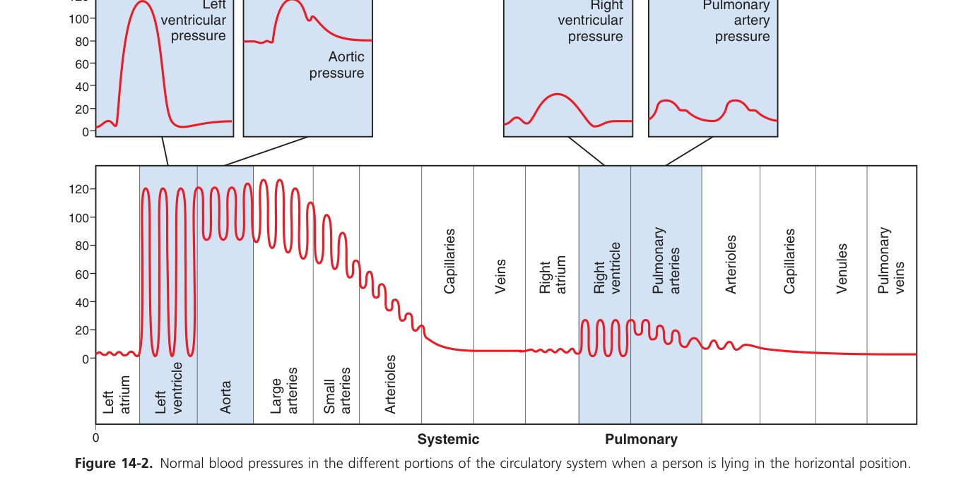 Pressures in different vessels (Guyton Fig 14-2)