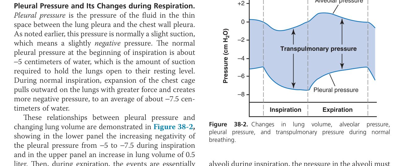 Lung pressures during breathing (Guyton Fig 38-2)