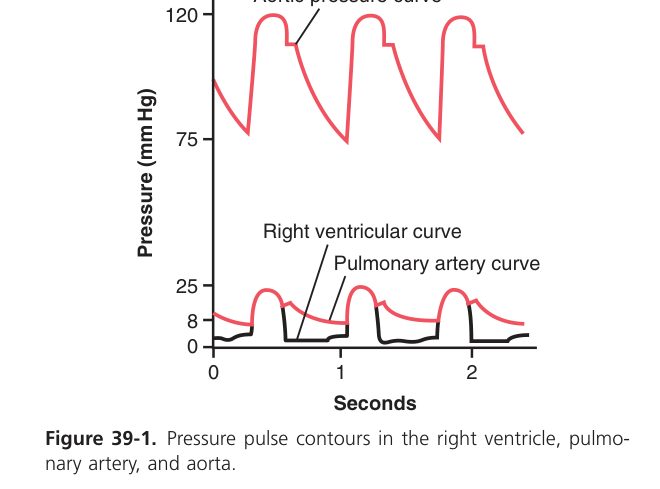 Pulmonary pressures (Guyton Fig 39-1)