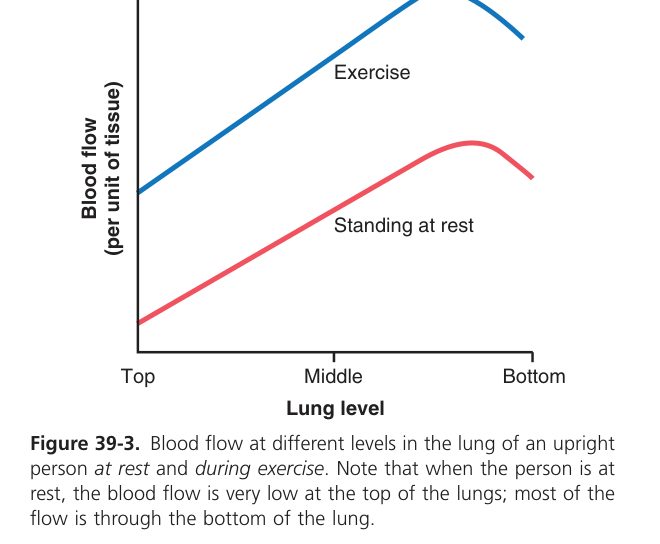 Lung blood flow by region (Guyton Fig 39-3)