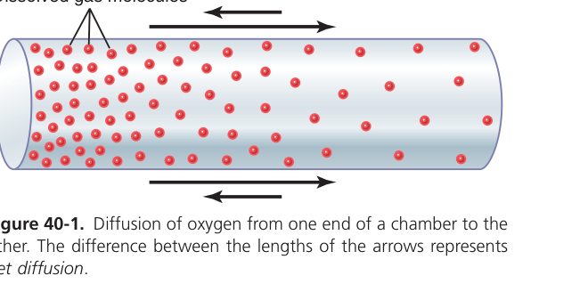 Diffusion principle (Guyton Fig 40-1)
