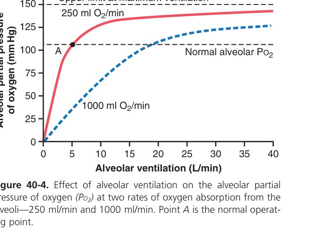 Alveolar ventilation vs PO2 (Guyton Fig 40-4)