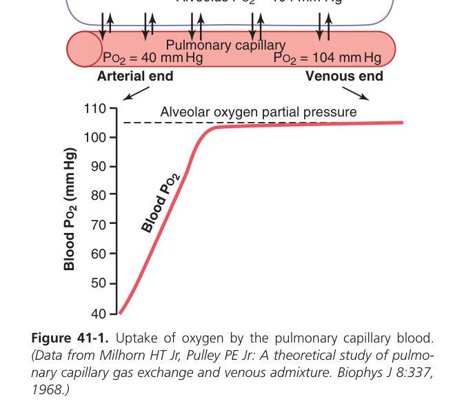 O2 uptake in pulmonary capillary (Guyton Fig 41-1)