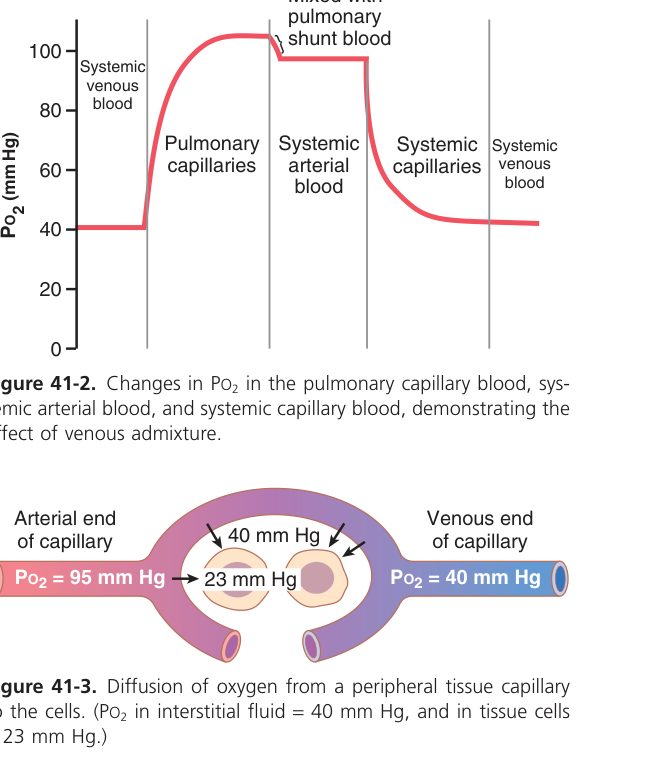 O2 diffusion at tissue (Guyton Fig 41-3)