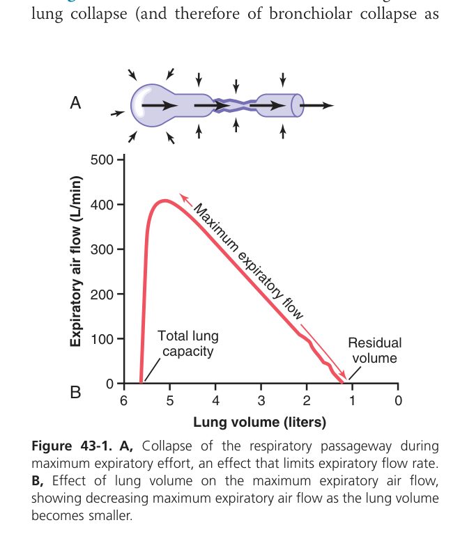 Hyperbaric / altitude pressure effects (Guyton Fig 43-1)
