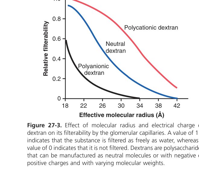 Filterability by size and charge (Guyton Fig 27-3)