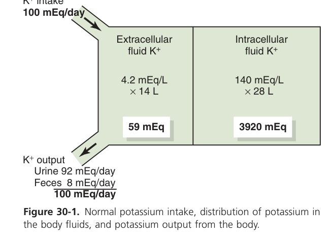 Potassium distribution and handling (Guyton Fig 30-1)