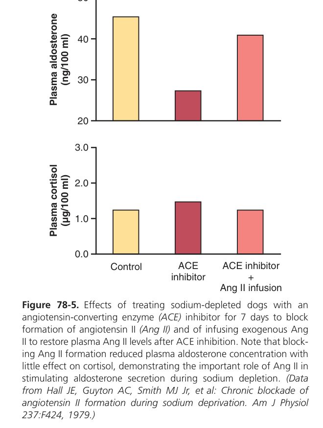 Aldosterone effects (Guyton Fig 78-5)