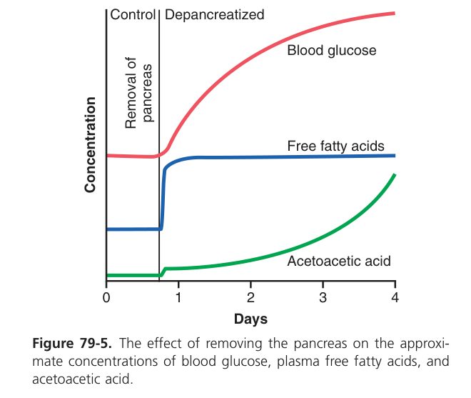 Pancreatectomy effect (Guyton Fig 79-5)