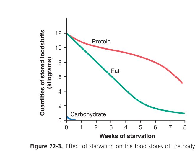 Starvation fuel use (Guyton Fig 72-3)