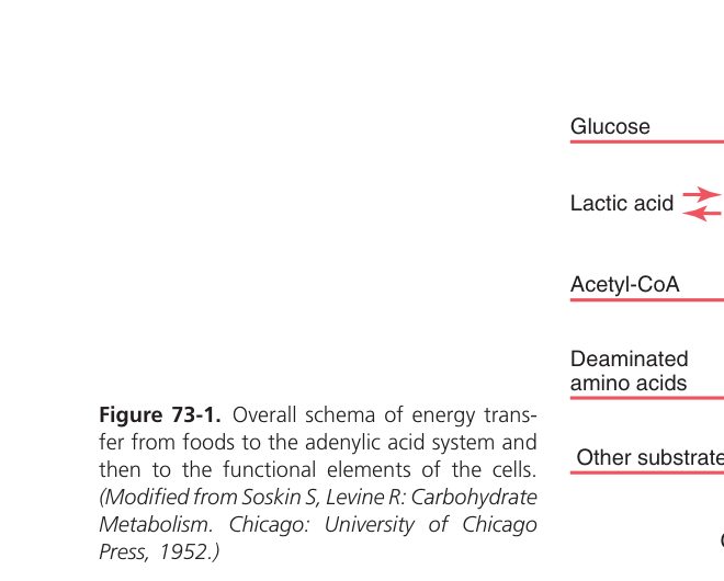 Anaerobic vs aerobic ATP yield (Guyton Fig 73-1)