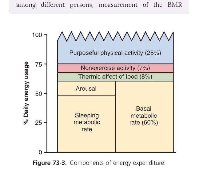 Components of energy expenditure (Guyton Fig 73-3)