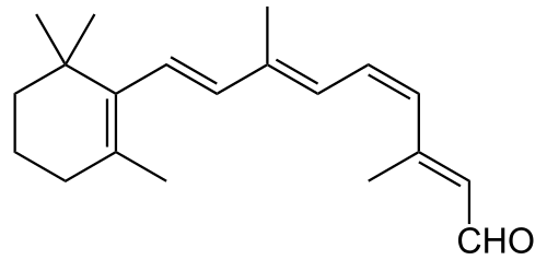 11-cis-retinal molecular structure showing the cis double bond at C11 in the polyene chain